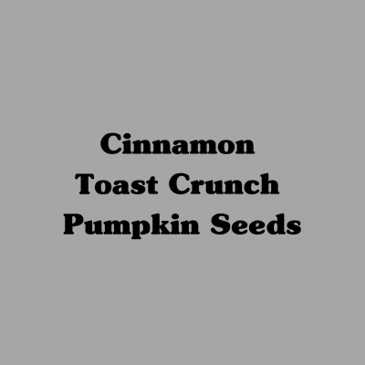 Cinnamon Toast Crunch Pumpkin Seeds